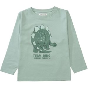 STACCATO Shirt  groen / pastelgroen