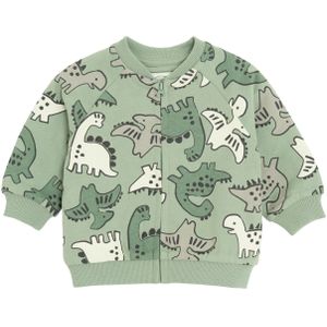 Cool Club Sweatvest  grijs / spar / pastelgroen / wit