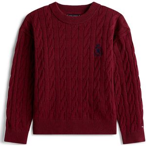 TOMMY HILFIGER Trui  navy / rood / donkerrood / wit