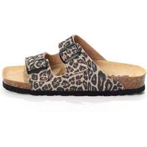 Bayton Muiltjes 'Athena'  gemengde kleuren