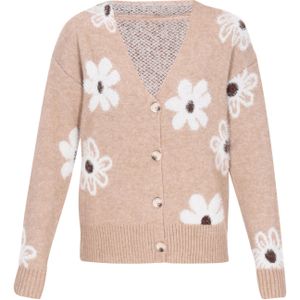 NAEMI Gebreid vest  lichtbruin / donkerbruin / wit