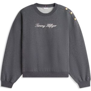 TOMMY HILFIGER Sweatshirt  donkergrijs / wit