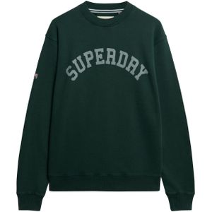 Superdry Sweatshirt  marine / groen
