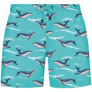 WESTMARK LONDON Zwemshorts  navy / turquoise / wit