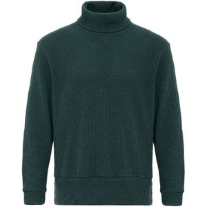 Antioch Trui  groen