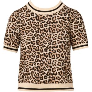 Adrianna Papell Trui  beige / bruin / zwart