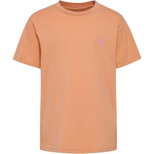 Hummel Shirt 'Pulse'  mintgroen / lila / oranje
