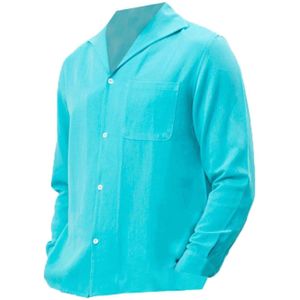 Antioch Shirt  turquoise