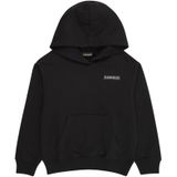 NAPAPIJRI - B-AHR - Sweatshirt - Lichtgrijs - Capuchon