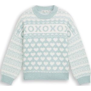 TOM TAILOR DENIM Trui  mintgroen / wit