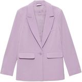 Blazer - Knoopsluiting - Gladde Stof - Normale Pasvorm - Lange Mouw