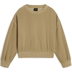 VANS Sweatshirt 'Got Your Back'  olijfgroen