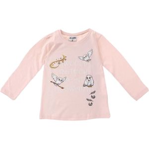 Warner Bros Shirt  rosa