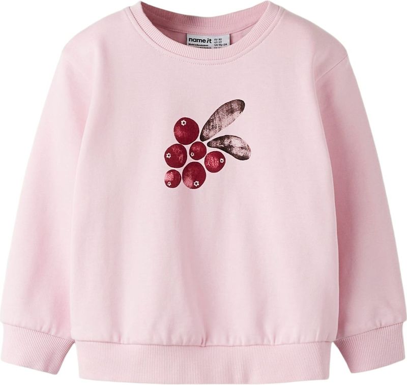 NAME IT Sweatshirt 'NMFSISSY'  aubergine / rosa / donkerrood
