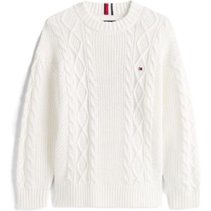 TOMMY HILFIGER Trui  donkerblauw / wit