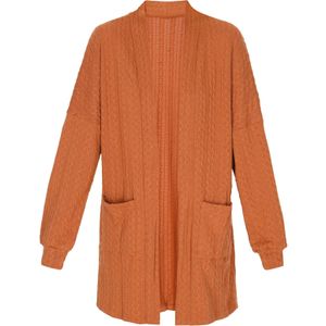 ebeeza Gebreid vest  kastanjebruin