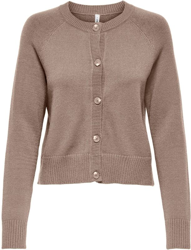 Only Petite Gebreid vest 'ONLKATIA'  bruin