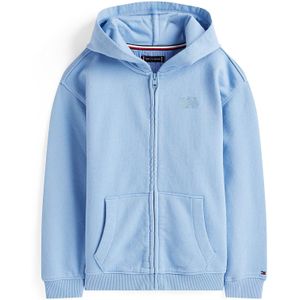 Tommy Hilfiger - TONAL FLAG EMB ZIP HOODIE - Capuchonsweatvest - Cloudy Blue