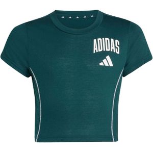 adidas - Train Essentials - Zwempak - Meisjes