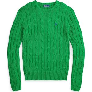 Polo Ralph Lauren Trui  navy / groen