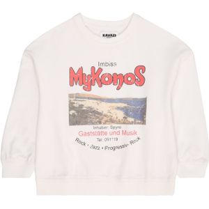 KAVAZI Trui  gemengde kleuren