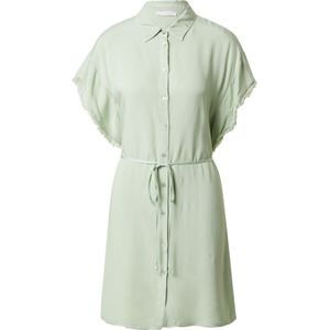 Freebird Icons Blousejurk  pastelgroen