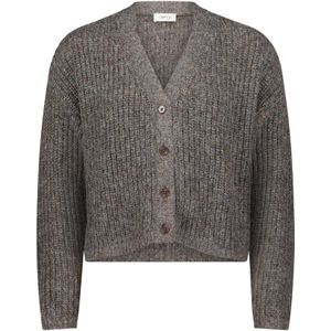 Cartoon Gebreid vest  bruin