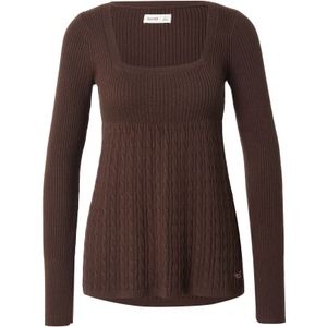 HOLLISTER Trui  bruin