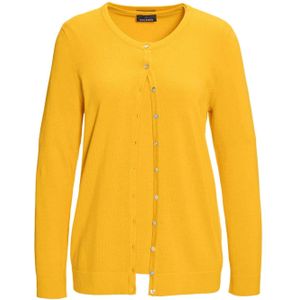 Goldner Gebreid vest  honing