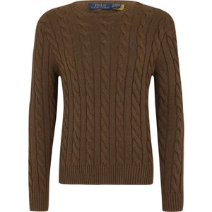 Polo Ralph Lauren Trui 'Driver'  bruin