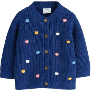 Next Gebreid vest  navy / lichtblauw / geel / rosa