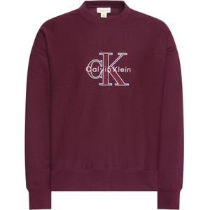 Calvin Klein Jeans Sweatshirt  lichtblauw / donkergrijs / bessen