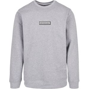 F4NT4STIC Sweatshirt  grijs / lila / violetblauw / wit