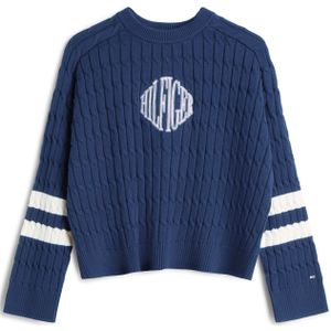 TOMMY HILFIGER Trui  navy / wit
