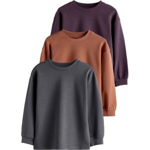 Next Shirt  cognac / antraciet / bessen