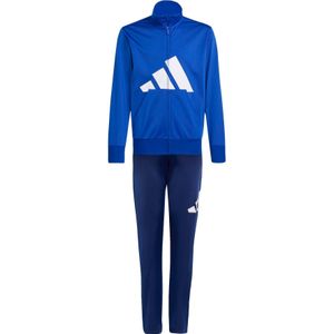 adidas - Trainingspak - Zwart - Tricot - CLIMACOOL