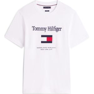 TOMMY HILFIGER Shirt  navy / rood / wit
