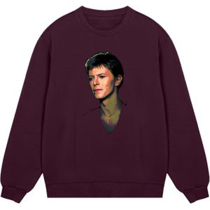 F4NT4STIC Sweatshirt  roestbruin