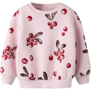 NAME IT Sweatshirt 'NMFSISSY'  donkerbruin / rosa / bloedrood