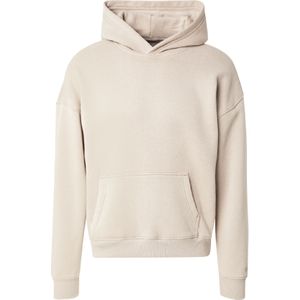 HOLLISTER Sweatshirt  cappuccino