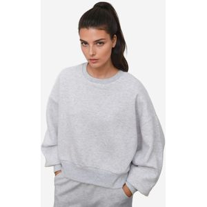 Hiccup Sweatshirt  grijs