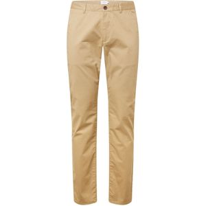 Chino 'Elm'
