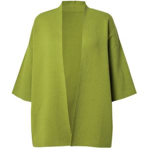 Ulla Popken Gebreid vest  kiwi