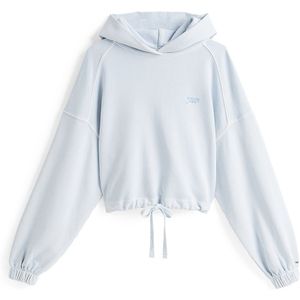 Tommy Jeans Sweatshirt  lichtblauw