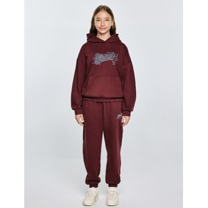 BIG STAR Sweatshirt 'Rubilia'  navy / karmijnrood