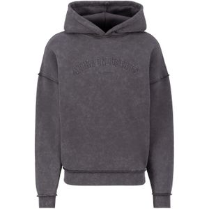 ALPHA INDUSTRIES Sweatshirt  grijs