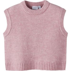 Gilet - Regular Fit - Gebreid - Mouwloos - Pluizig Gebreid