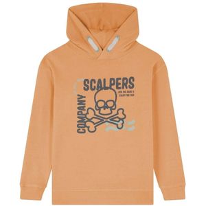 Scalpers Sweatshirt 'Stroke'  grijs / donkergrijs / perzik