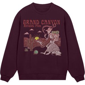 F4NT4STIC Sweatshirt 'US National Parks Grand Canyon Sunrise'  lichtbruin / karmijnrood