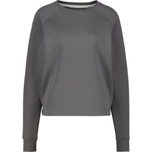 Alife and Kickin Sweatshirt 'AKTeodora'  donkergrijs